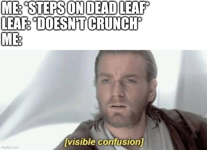 It's also depressing | ME: *STEPS ON DEAD LEAF*
LEAF: *DOESN'T CRUNCH*
ME: | image tagged in visible confusion | made w/ Imgflip meme maker