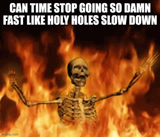 Skeleton Burning In Hell | CAN TIME STOP GOING SO DAMN FAST LIKE HOLY HOLES SLOW DOWN | image tagged in skeleton burning in hell | made w/ Imgflip meme maker