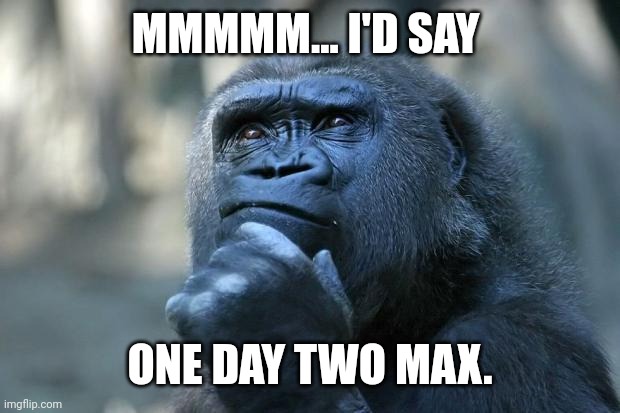 Deep Thoughts | MMMMM... I'D SAY; ONE DAY TWO MAX. | image tagged in deep thoughts | made w/ Imgflip meme maker