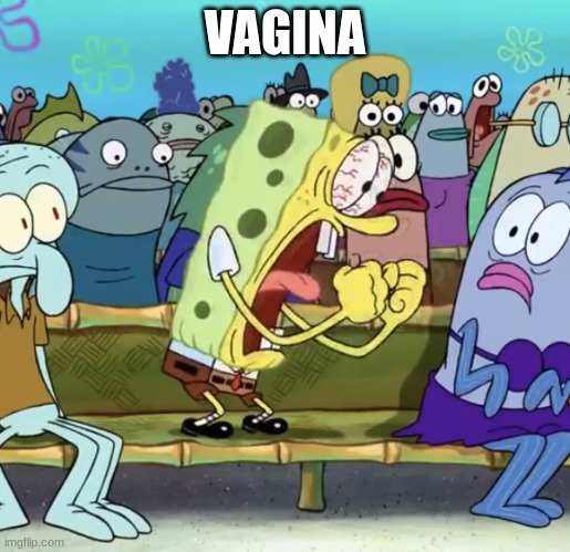 i don't think i've ever laughed less in my life | VAGINA | image tagged in spongebob yelling,vagina | made w/ Imgflip meme maker