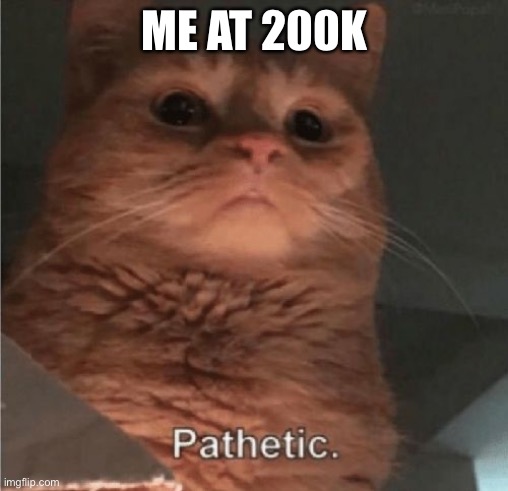 Pathetic Cat | ME AT 200K | image tagged in pathetic cat | made w/ Imgflip meme maker