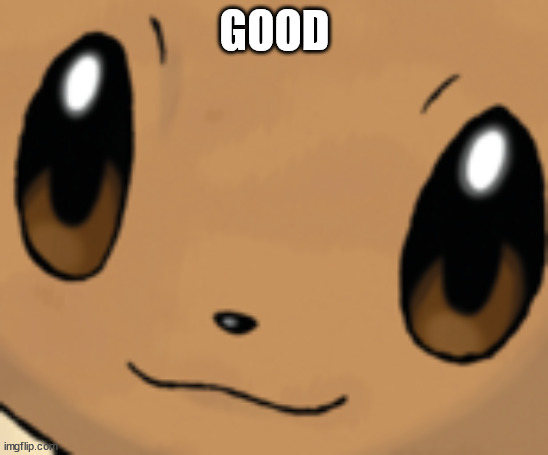 eevee face | GOOD | image tagged in eevee face | made w/ Imgflip meme maker