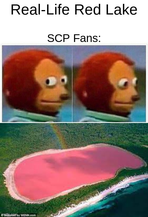 Real? | Real-Life Red Lake; SCP Fans: | image tagged in memes,monkey puppet | made w/ Imgflip meme maker