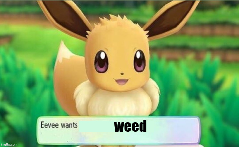 Eevee | weed | image tagged in eevee | made w/ Imgflip meme maker