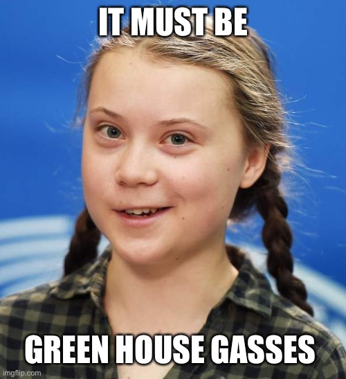 Greta Thunberg | IT MUST BE GREEN HOUSE GASSES | image tagged in greta thunberg | made w/ Imgflip meme maker