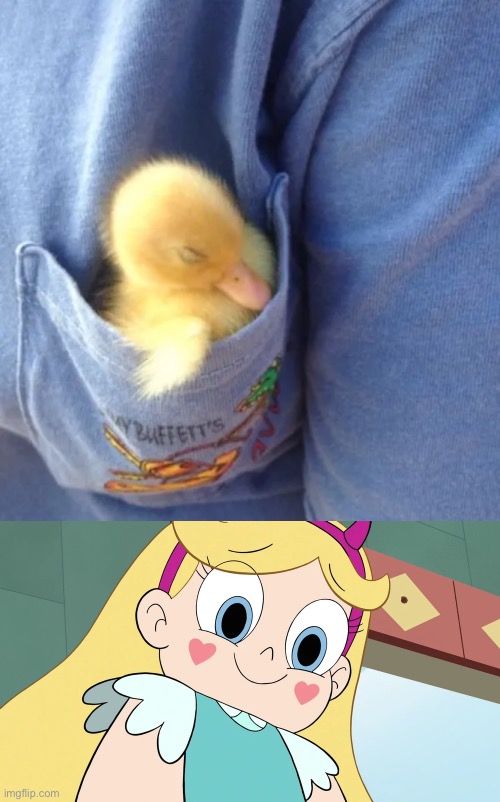 I love this duck | image tagged in memes,funny,ducks,duck,star butterfly,cute | made w/ Imgflip meme maker