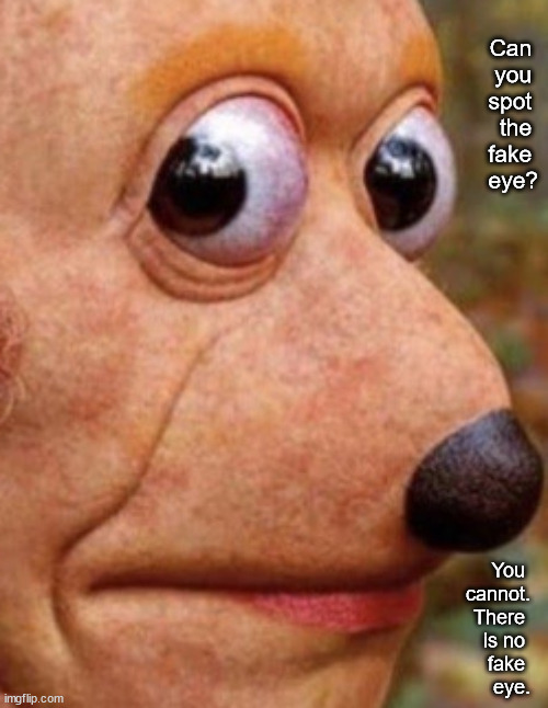 Lookin backatcha | Can 
you 
spot 
the 
fake 
eye? You 
cannot.
There 
is no 
fake 
eye. | image tagged in memes,dark | made w/ Imgflip meme maker