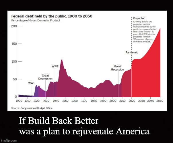 If Build Back Better  was a plan to rejuvenate America | If Build Back Better 
was a plan to rejuvenate America | image tagged in build back better,national debt | made w/ Imgflip meme maker