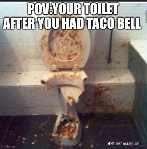 Damn | POV:YOUR TOILET AFTER YOU HAD TACO BELL | image tagged in toilet humor | made w/ Imgflip meme maker