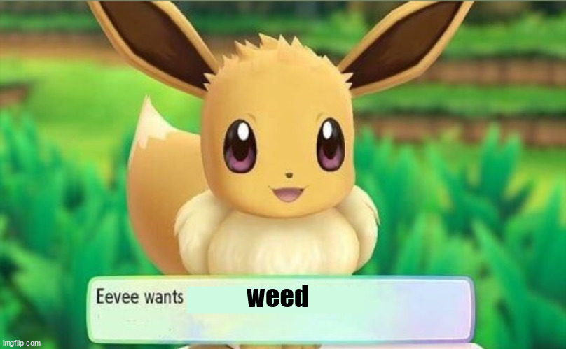 Eevee | weed | image tagged in eevee | made w/ Imgflip meme maker