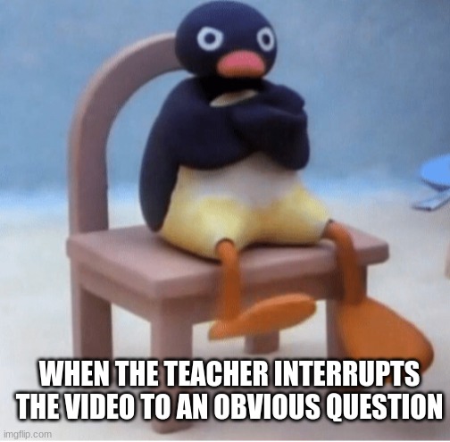 Angry penguin | WHEN THE TEACHER INTERRUPTS THE VIDEO TO AN OBVIOUS QUESTION | image tagged in angry penguin | made w/ Imgflip meme maker