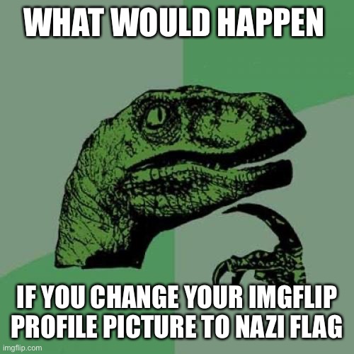 Philosoraptor | WHAT WOULD HAPPEN; IF YOU CHANGE YOUR IMGFLIP PROFILE PICTURE TO NAZI FLAG | image tagged in memes,philosoraptor | made w/ Imgflip meme maker