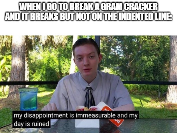 so true | WHEN I GO TO BREAK A GRAM CRACKER AND IT BREAKS BUT NOT ON THE INDENTED LINE: | image tagged in my day is ruined | made w/ Imgflip meme maker