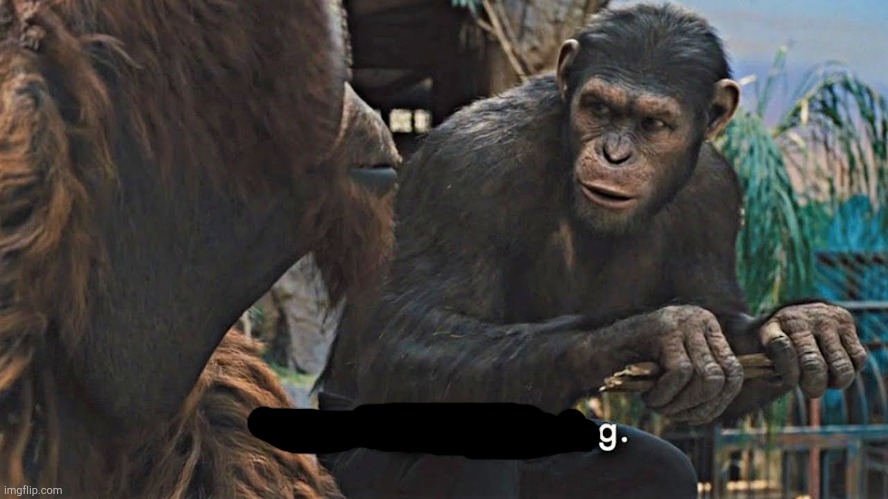 Ape together strong | image tagged in ape together strong | made w/ Imgflip meme maker