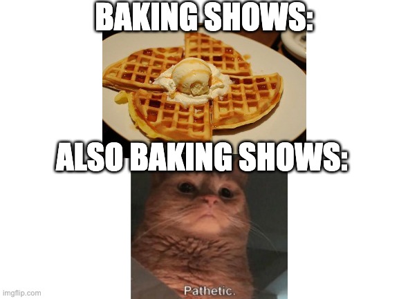 Blank White Template | BAKING SHOWS:; ALSO BAKING SHOWS: | image tagged in blank white template,cat,food,waffles | made w/ Imgflip meme maker