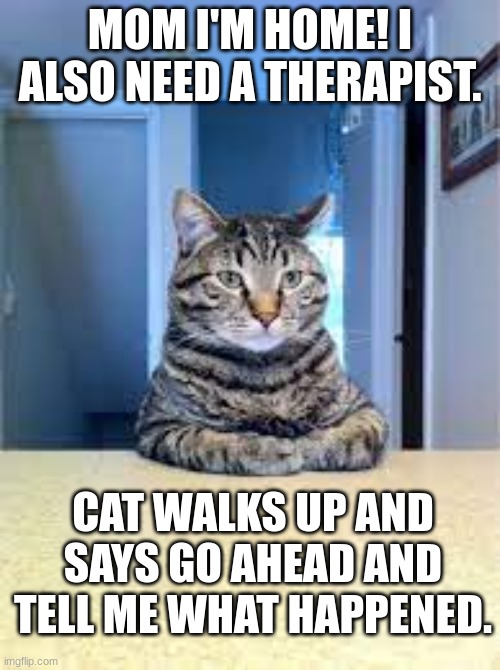 Cat Therapist | MOM I'M HOME! I ALSO NEED A THERAPIST. CAT WALKS UP AND SAYS GO AHEAD AND TELL ME WHAT HAPPENED. | image tagged in memes | made w/ Imgflip meme maker