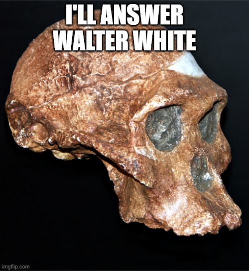 skull | I'LL ANSWER WALTER WHITE | image tagged in skull | made w/ Imgflip meme maker