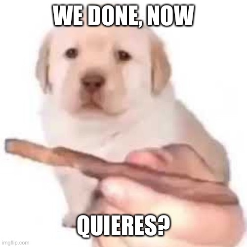quieres? | WE DONE, NOW QUIERES? | image tagged in quieres | made w/ Imgflip meme maker