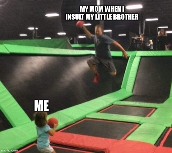 Trampoline Dodgeball | MY MOM WHEN I INSULT MY LITTLE BROTHER; ME | image tagged in trampoline dodgeball | made w/ Imgflip meme maker