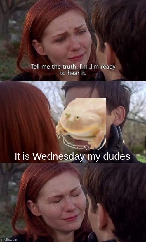 It is Wednesday my dudes | It is Wednesday my dudes | image tagged in tell me the truth i'm ready to hear it | made w/ Imgflip meme maker