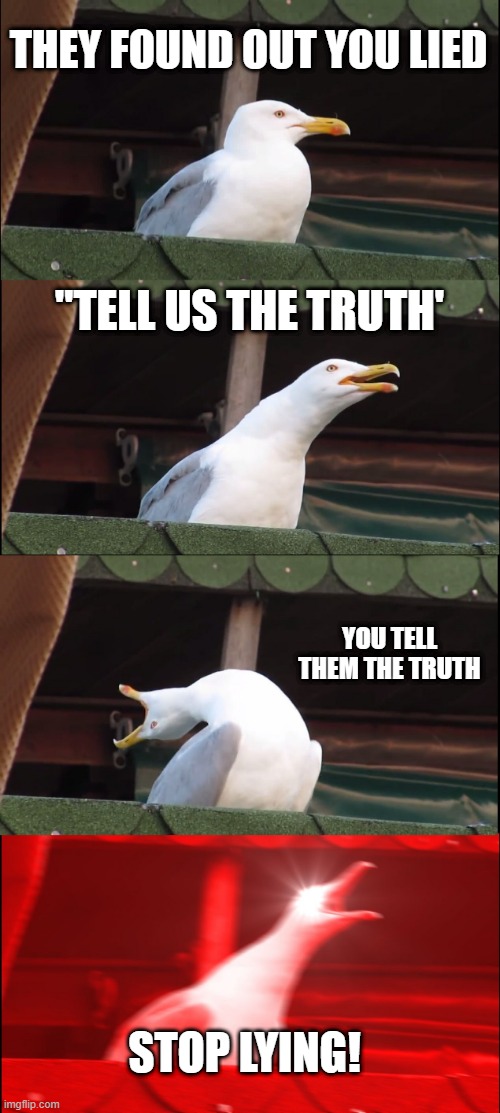 Inhaling Seagull Meme | THEY FOUND OUT YOU LIED "TELL US THE TRUTH' YOU TELL THEM THE TRUTH STOP LYING! | image tagged in memes,inhaling seagull | made w/ Imgflip meme maker