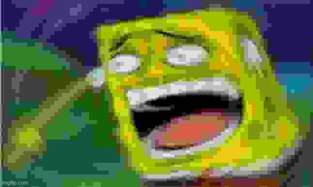 Laughing Spongebob | image tagged in laughing spongebob | made w/ Imgflip meme maker