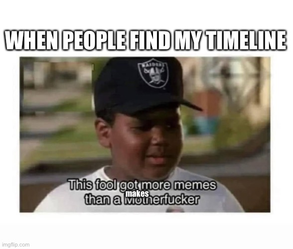 Fool | WHEN PEOPLE FIND MY TIMELINE; makes | image tagged in memes,timeline,fool | made w/ Imgflip meme maker