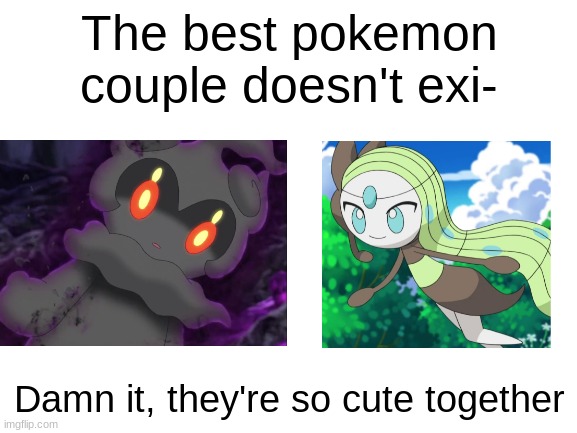 Did you say the perfect Pokémon couple didn't exist? Think again! | The best pokemon couple doesn't exi-; Damn it, they're so cute together | image tagged in marshadow,meloetta,shipping,otp,pokemon,anime | made w/ Imgflip meme maker