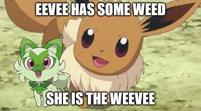 weed cat | EEVEE HAS SOME WEED; SHE IS THE WEEVEE | image tagged in eevee | made w/ Imgflip meme maker