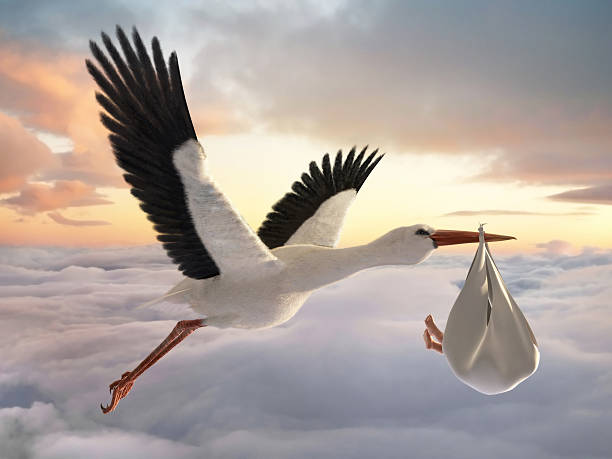 Stork with delivery Blank Meme Template