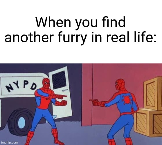 When you find another furry in real life (this happened to me twice IRL, BTW): | When you find another furry in real life: | image tagged in spider man double,simothefinlandized,the furry fandom,memes,funny,relatable | made w/ Imgflip meme maker