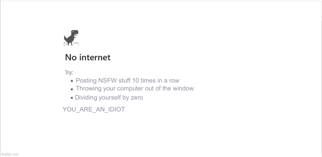 no internet screens in a nutshell (seriously, don’t divide yourself by zero) | Throwing your computer out of the window; Posting NSFW stuff 10 times in a row; Dividing yourself by zero; YOU_ARE_AN_IDIOT | image tagged in dns_probe_finished_no_internet error meme | made w/ Imgflip meme maker