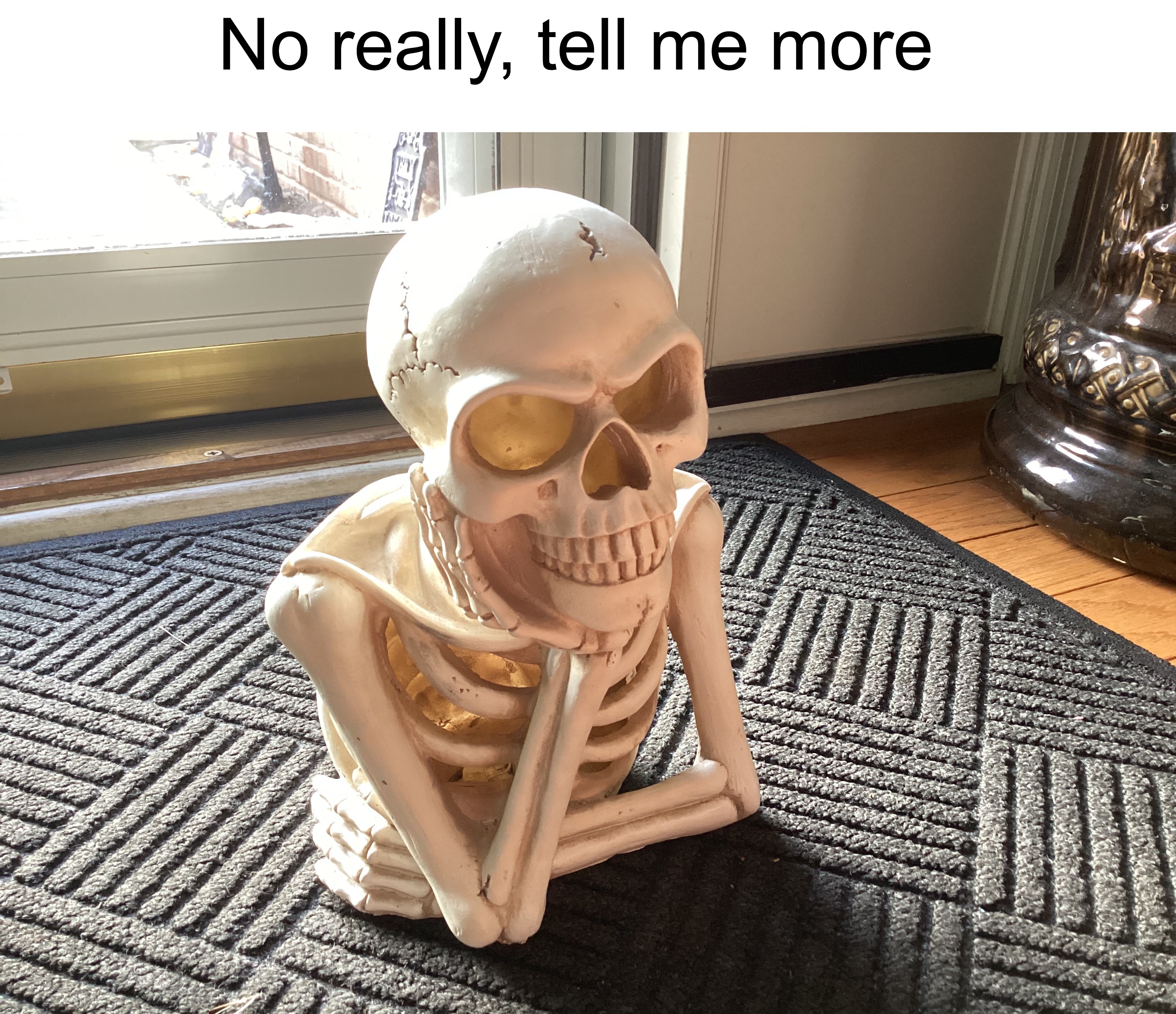 I have this in my house | No really, tell me more | image tagged in memes,funny,halloween,spooky month,skeleton,spooky scary skeleton | made w/ Imgflip meme maker