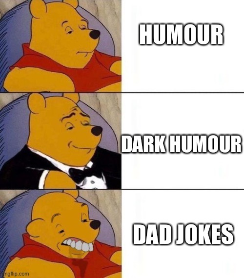 Humours- I like em all | HUMOUR; DARK HUMOUR; DAD JOKES | image tagged in bizarre tuxedo pooh bear,dark humor,humour,dad jokes | made w/ Imgflip meme maker