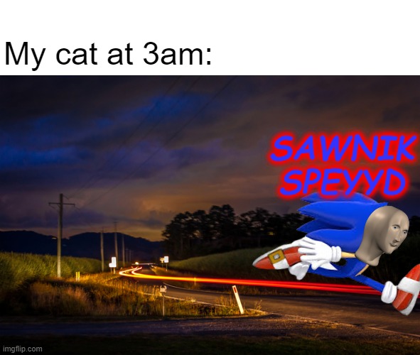 nyoom | My cat at 3am:; SAWNIK
SPEYYD | image tagged in blank white template,rural road at night | made w/ Imgflip meme maker