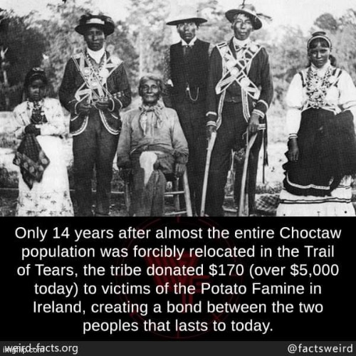 A Fun Fact That I Learned Today (source: weirdfacts.org) | image tagged in simothefinlandized,choctaw,irish potato famine,friendship,fun facts,memes | made w/ Imgflip meme maker