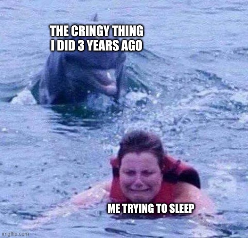 Dangerous Dolphin | THE CRINGY THING I DID 3 YEARS AGO; ME TRYING TO SLEEP | image tagged in dangerous dolphin,memes,relatable,relatable memes,sleep,cringe | made w/ Imgflip meme maker