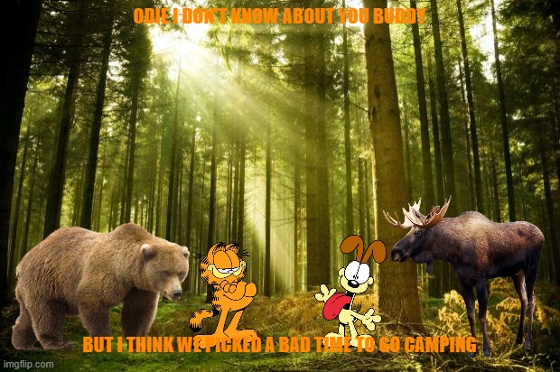 a bad time to go camping | ODIE I DON'T KNOW ABOUT YOU BUDDY; BUT I THINK WE PICKED A BAD TIME TO GO CAMPING | image tagged in garfield,paramount,nickelodeon,cats,dogs,camping | made w/ Imgflip meme maker