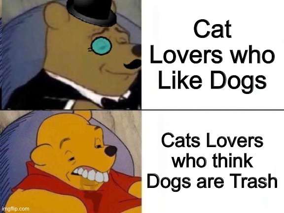 Fancy and Idiot Pooh | Cat Lovers who Like Dogs; Cats Lovers who think Dogs are Trash | image tagged in fancy and idiot pooh,memes,funny,cats,dogs,best better blurst | made w/ Imgflip meme maker