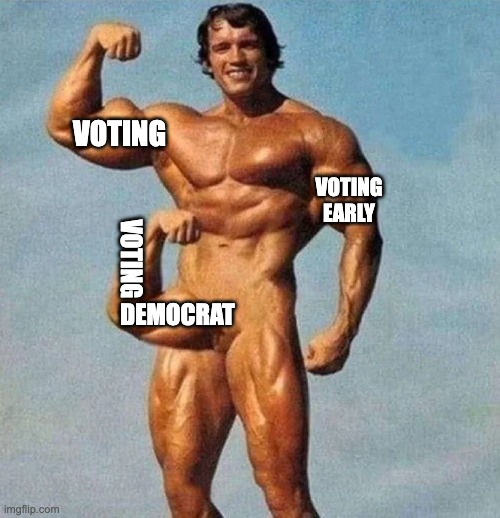Flexing | VOTING; VOTING EARLY; VOTING; DEMOCRAT | image tagged in arnold schwarzenegger,muscles,democrat | made w/ Imgflip meme maker