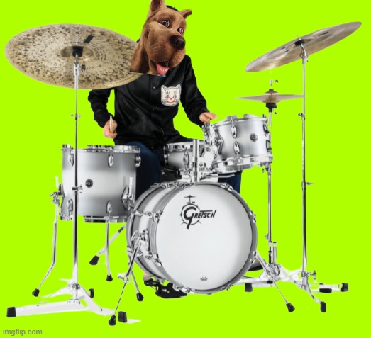 drumming scooby | image tagged in drummer,warner bros,scooby doo,dogs | made w/ Imgflip meme maker