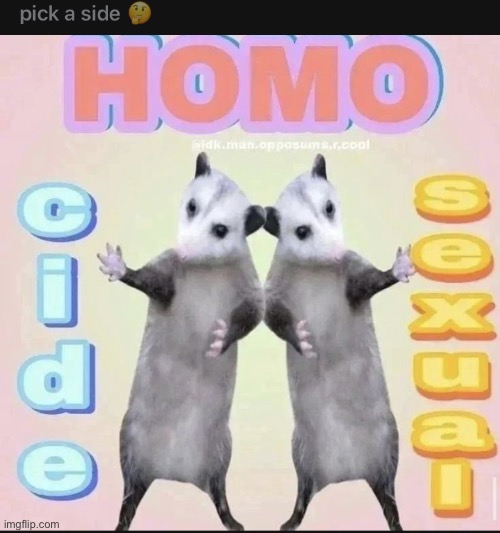Image title | made w/ Imgflip meme maker