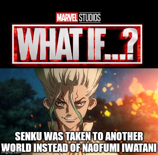 This would actually be so entertaining to watch! | SENKU WAS TAKEN TO ANOTHER WORLD INSTEAD OF NAOFUMI IWATANI | image tagged in marvel studios what if we kissed,what if,dr stone,rising of the shield hero,senku ishigami,naofumi iwatani | made w/ Imgflip meme maker