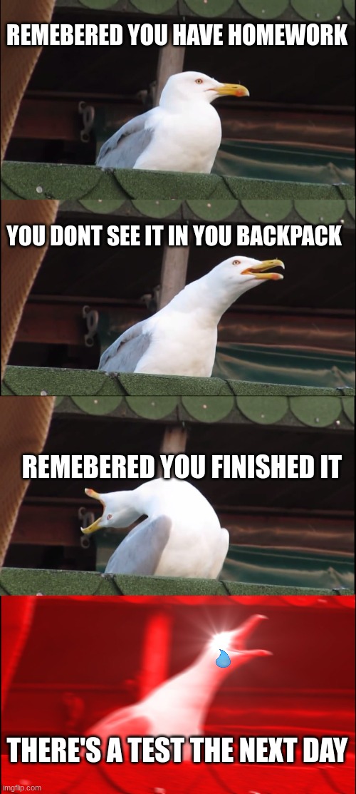 Inhaling Seagull Meme | REMEBERED YOU HAVE HOMEWORK YOU DONT SEE IT IN YOU BACKPACK REMEBERED YOU FINISHED IT THERE'S A TEST THE NEXT DAY | image tagged in memes,inhaling seagull | made w/ Imgflip meme maker