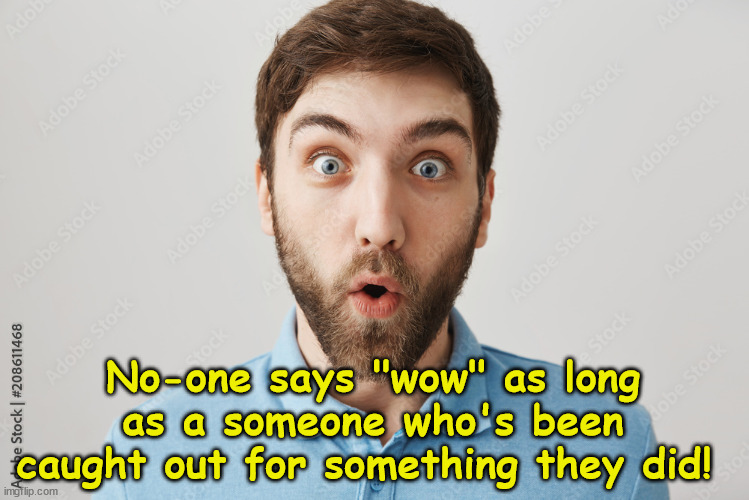 Wow | No-one says "wow" as long as a someone who's been caught out for something they did! | image tagged in funny memes | made w/ Imgflip meme maker