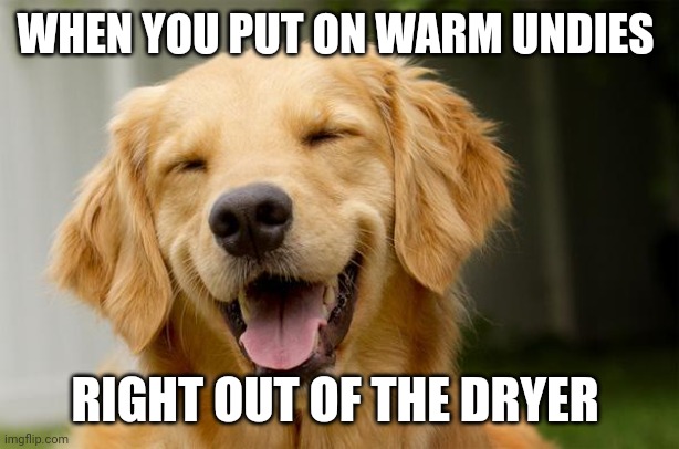 Happy Dog | WHEN YOU PUT ON WARM UNDIES RIGHT OUT OF THE DRYER | image tagged in happy dog | made w/ Imgflip meme maker