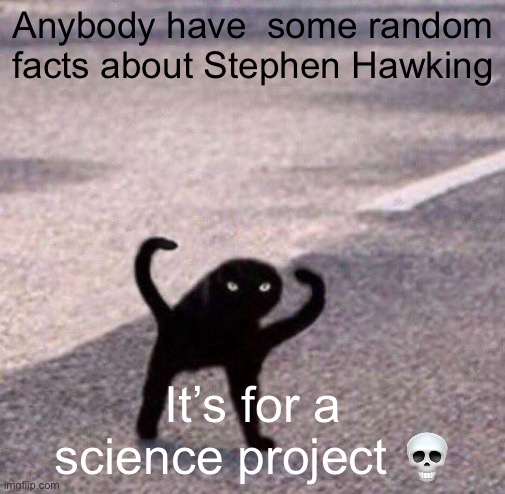 Cursed cat temp | Anybody have  some random facts about Stephen Hawking; It’s for a science project 💀 | image tagged in cursed cat temp | made w/ Imgflip meme maker