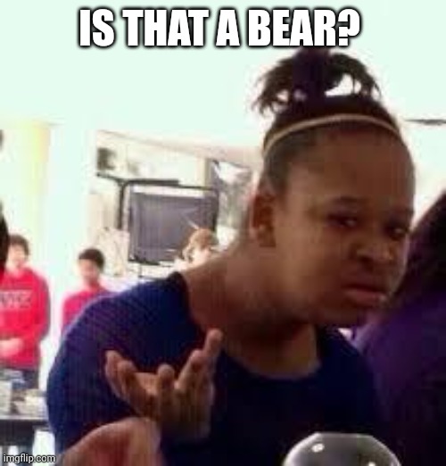 Bruh | IS THAT A BEAR? | image tagged in bruh | made w/ Imgflip meme maker