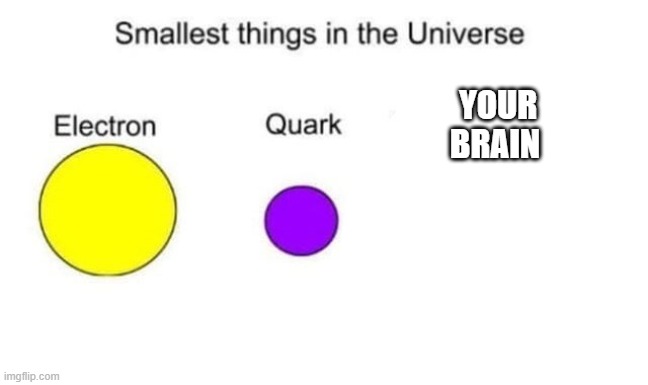Insult | YOUR BRAIN | image tagged in smallest things in the universe | made w/ Imgflip meme maker