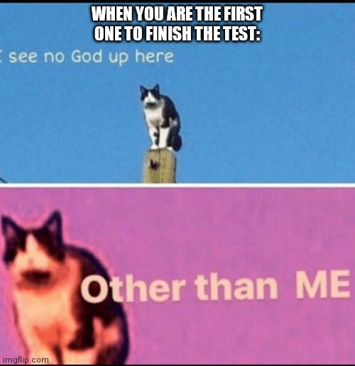 I see no god up here... OTHER THAN ME | WHEN YOU ARE THE FIRST ONE TO FINISH THE TEST: | image tagged in i see no god up here other than me | made w/ Imgflip meme maker